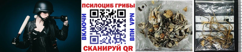 Псилоцибиновые грибы Magic Shrooms  Купить закладки  Куртамыш 